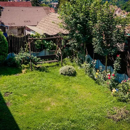 Panorama * Sighisoara