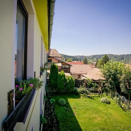Panorama * Sighisoara